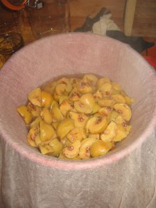 quince in cheesecloth