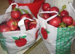 Applesinbags