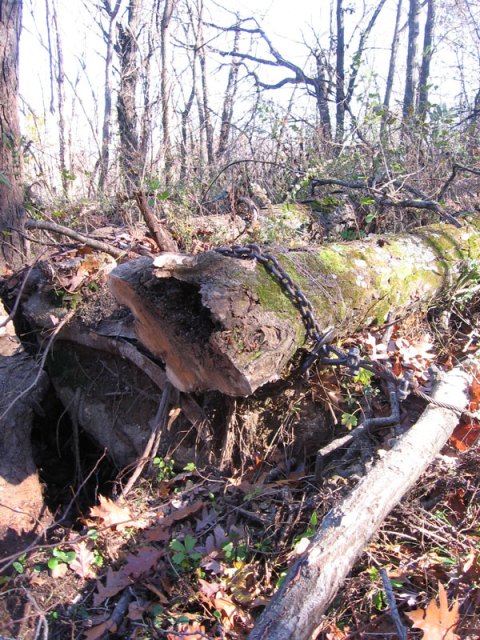 Log and Chain Log and Chain