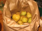 Pears in Brown&nbsp;Bag