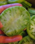 tomatoecloseup