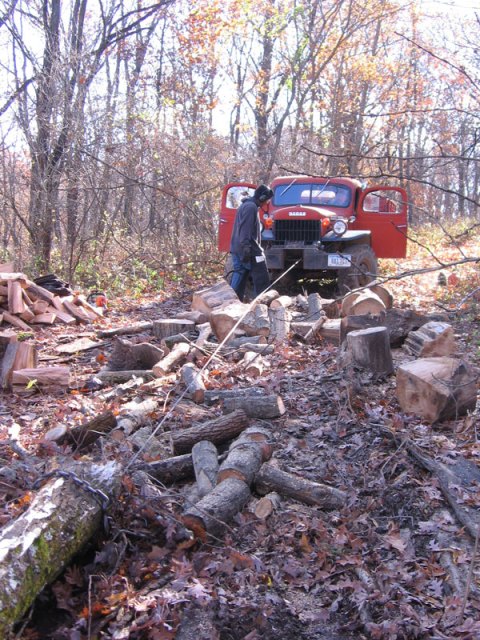 Wenching Log Wenching Log