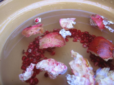 Pomegranate Separated