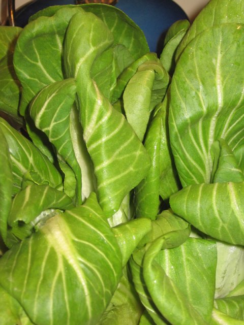 Baby Bok Choi